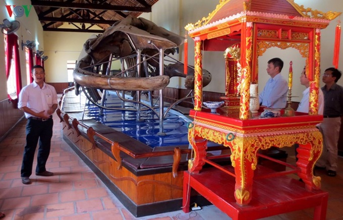 Largest whale skeleton in Southeast Asia - 1