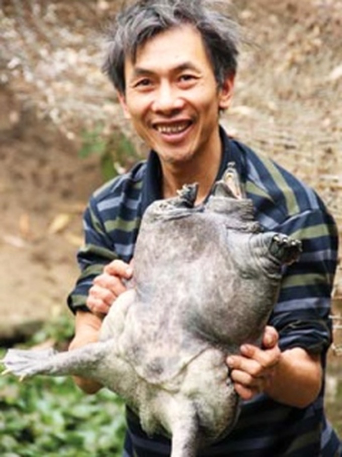 Visiting the land of the giant turtles - 1 Visiting the land of the giant turtles - 1