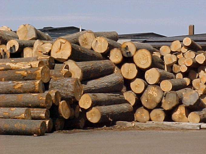 Legal procurement a concern of wood processing industry - 1