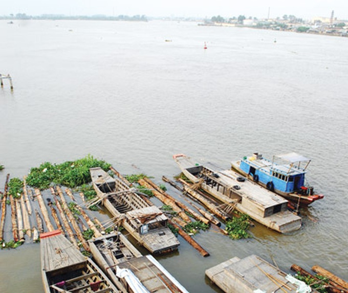 Committee fails to tackle pollution in Dong Nai River - 1
