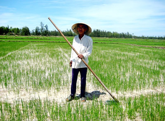 Northern, central regions enter drought season - 1