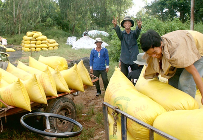 Mekong Delta farmers revel in a bountiful Tet - 1 Mekong Delta farmers revel in a bountiful Tet - 1
