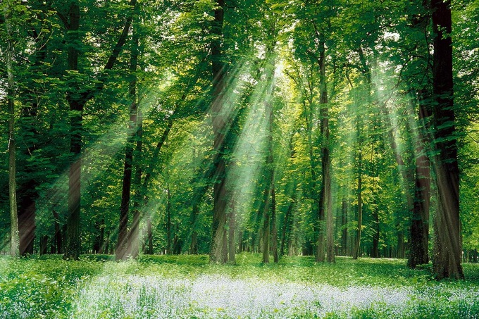 Growing threat to biodiversity - 1 Growing threat to biodiversity - 1