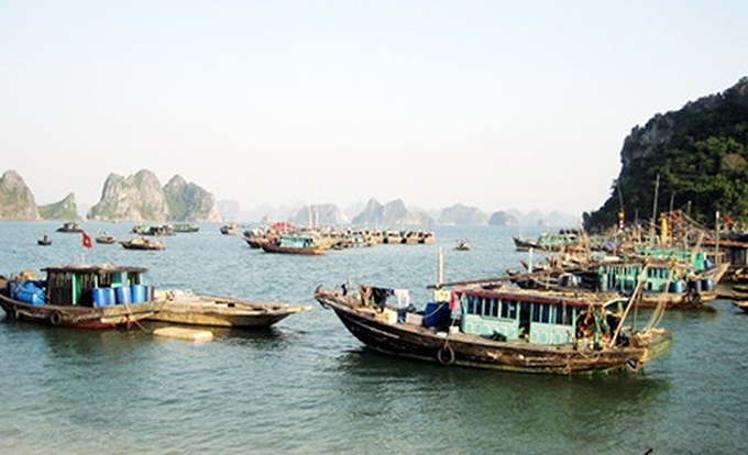 Quảng Ninh losing its marine resources - 1