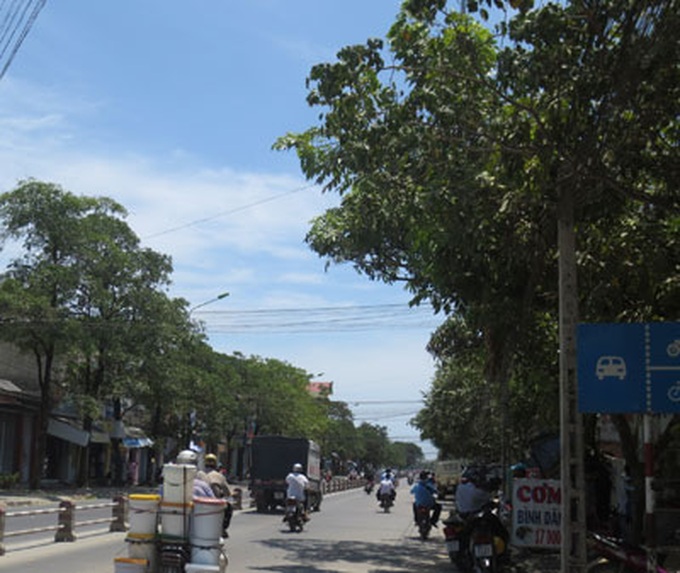 Distraught locals worry about effects of the "devil's tree" - 1