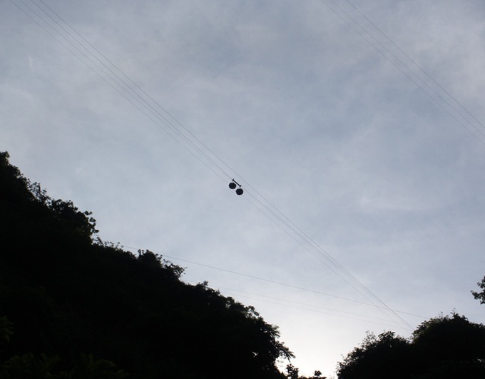 Farmers invent cable car to carry custard apples from mountains - 7