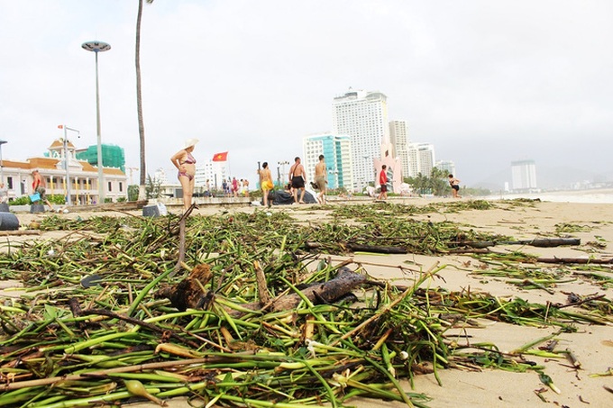 Heavy rains pollute Nha Trang beach - 1 Heavy rains pollute Nha Trang beach - 1