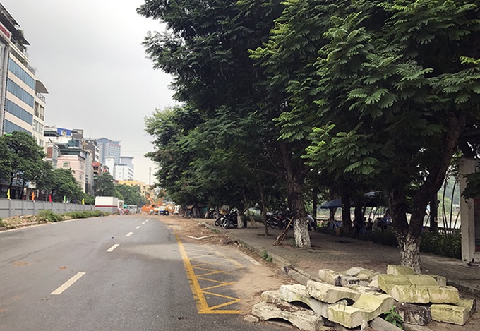 More trees face chop for Hanoi metro - 2