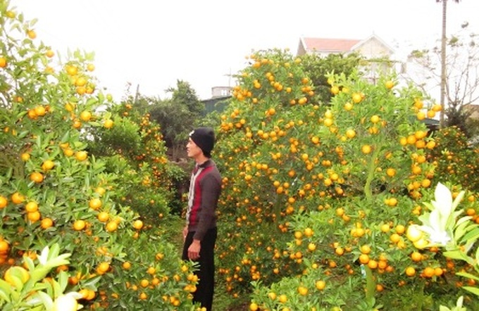 Phu Van flower village before Tet - 12