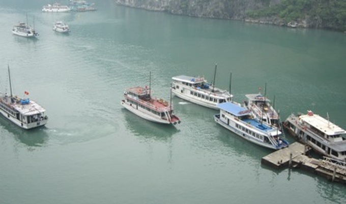 Halong Bay chaos threatens tourist safety - 4