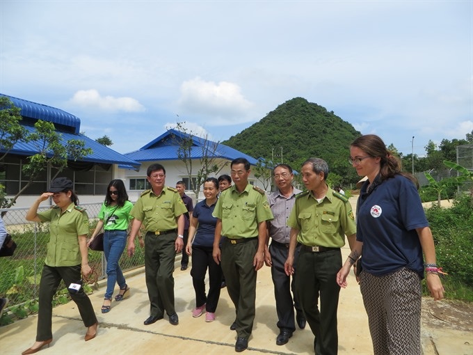 Owner gives up captive bears to sanctuary - 2