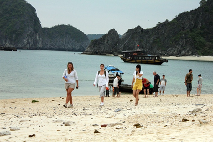 Cat Ba’s environment threatened by port development - 1 Cat Ba’s environment threatened by port development - 1