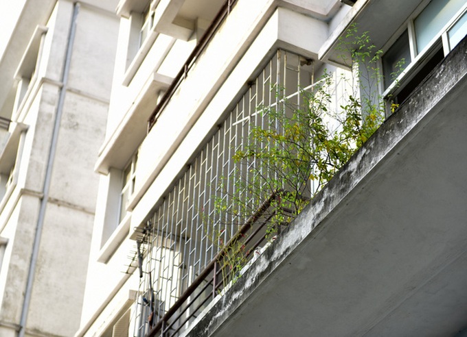 Failed Hanoi resettlement site faces demolition - 6