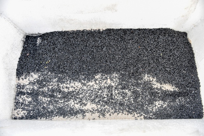 Dual-purpose bicycles help purify Hanoi lake - 7 Dual-purpose bicycles help purify Hanoi lake - 7