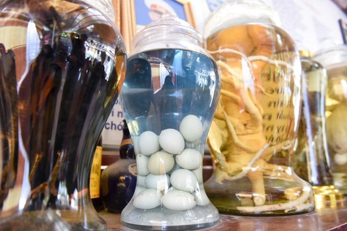 Elderly man devoted to rare chicken species - 6