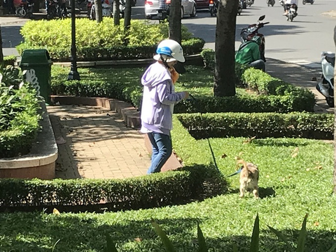 Residents oppose pet ban at HCM City apartment buildings - 1