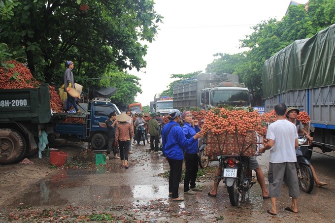 Rush for litchis causes major traffic jams - 4