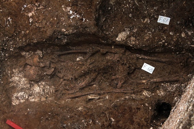 5,000-year-old bones excavated in Ha Tinh - 1