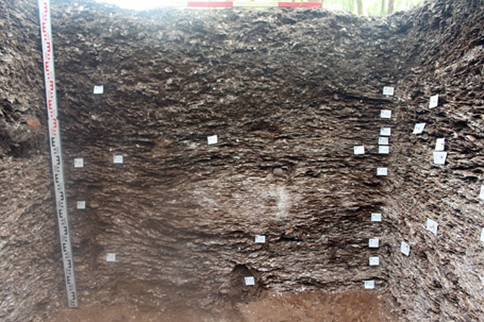 5,000-year-old bones excavated in Ha Tinh - 4