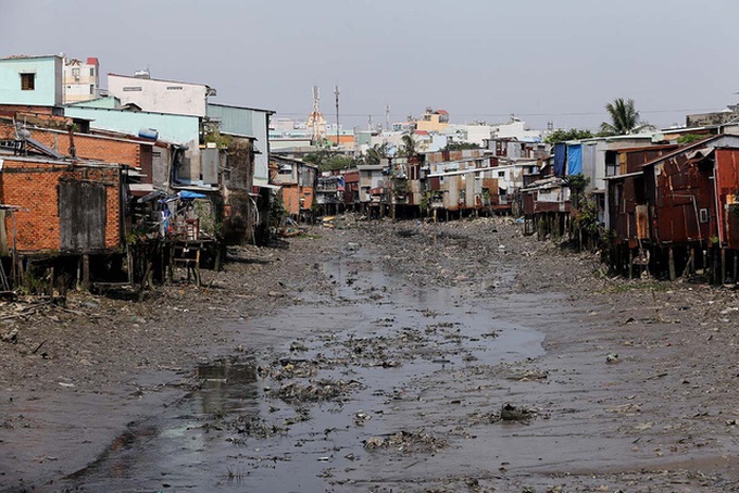 HCM City households face mountains of waste - 15 HCM City households face mountains of waste - 15