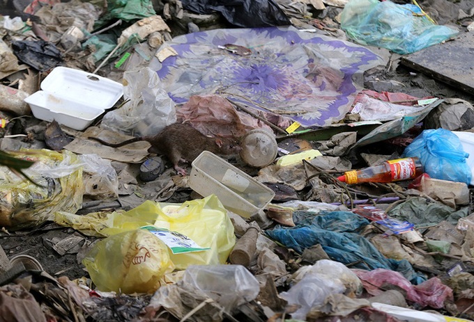 HCM City households face mountains of waste - 3 HCM City households face mountains of waste - 3