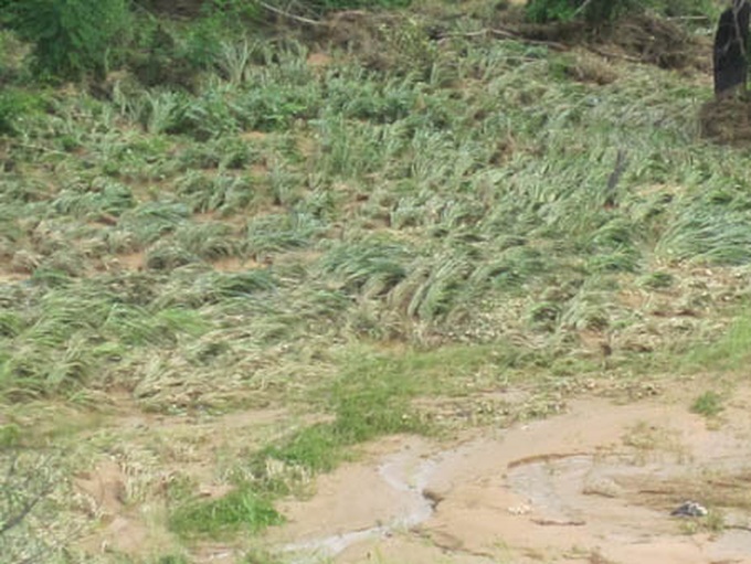 Dam break causes huge losses and threatens community - 4