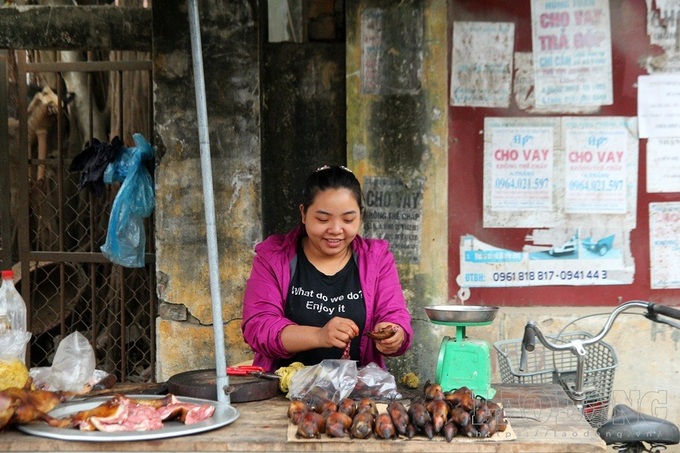 Hanoi farmers earn big during rat hunting season - 2