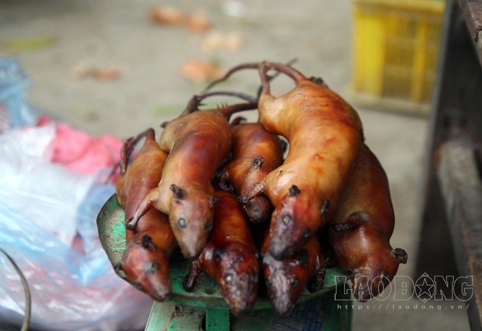 Hanoi farmers earn big during rat hunting season - 3