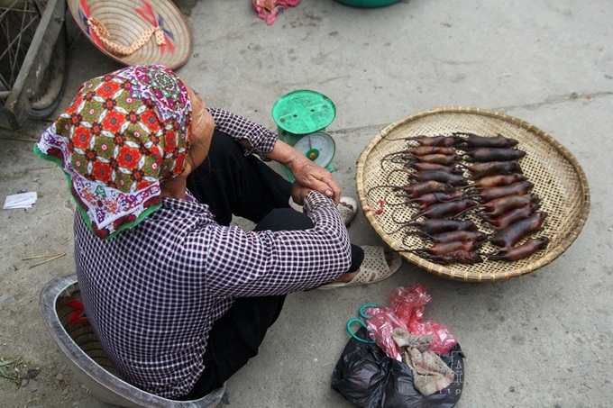 Hanoi farmers earn big during rat hunting season - 7