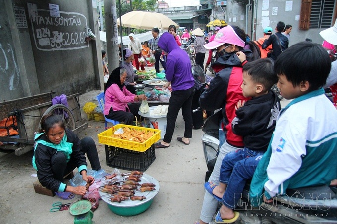 Hanoi farmers earn big during rat hunting season - 6