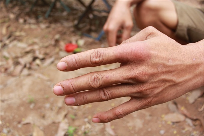 Honey harvesting season in Hung Yen - 8