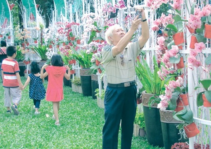 Floral fairs colour HCM City for Tet - 1