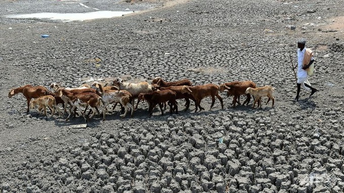 India says 330 million people suffering from drought - 1 India says 330 million people suffering from drought - 1