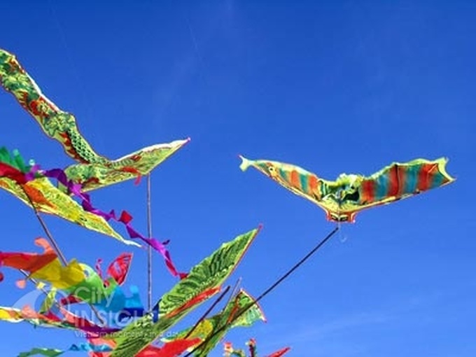 Kites set to fly in Da Nang city - 1