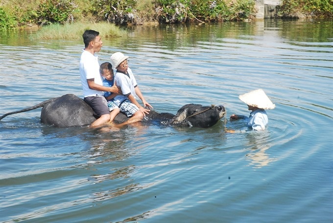 Tours offer glimpse of Hoi An countryside - 3