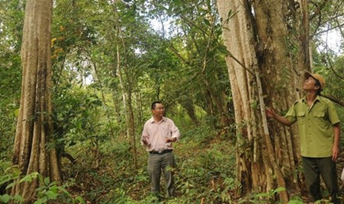 Yok Don National Park still threatened by hydropower project - 1