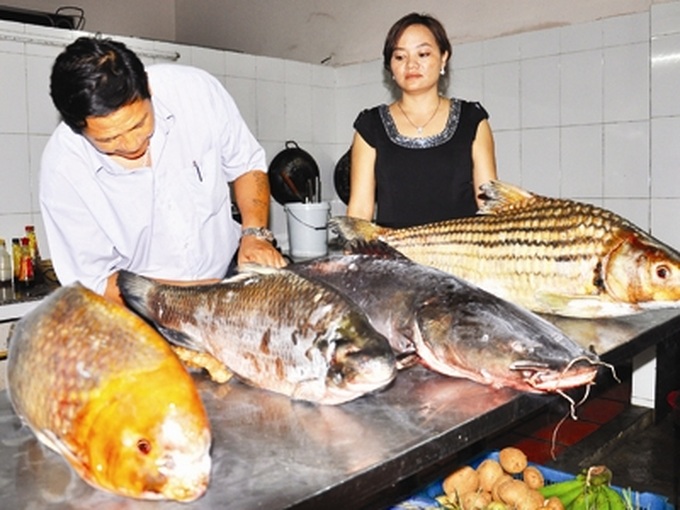 Rare fresh-water fish on brink of extinction - 1 Rare fresh-water fish on brink of extinction - 1