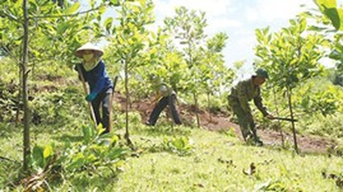 Conference supports low carbon emissions - 1 Conference supports low carbon emissions - 1