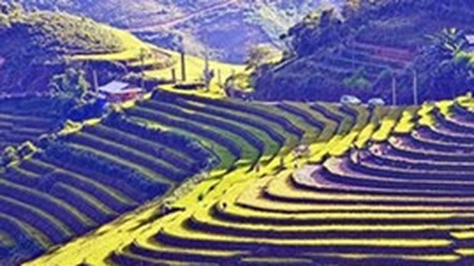 Tourism week kicks off in Mu Cang Chai - 1