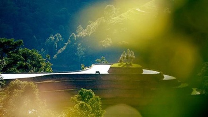 Ha Giang’s stunning terraced rice fields - 1