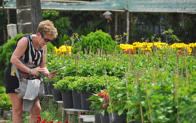 Sa Dec flower village busy preparing for Tet - 4