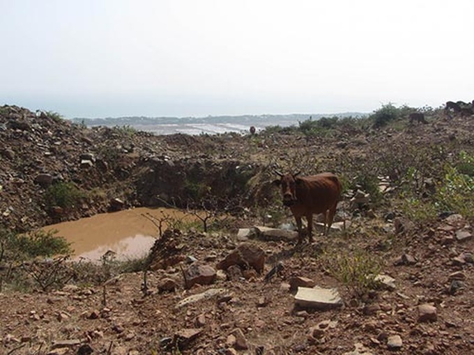 Search for treasure continues despite environmental harm - 1