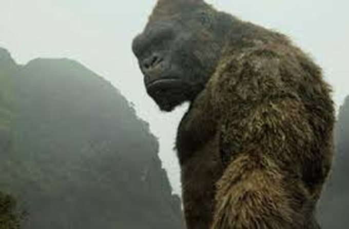 Hanoi rejects King Kong statue near Hoan Kiem Lake - 1