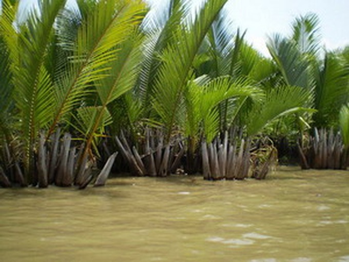 New nature reserves to be unveiled up to 2020 - 1 New nature reserves to be unveiled up to 2020 - 1