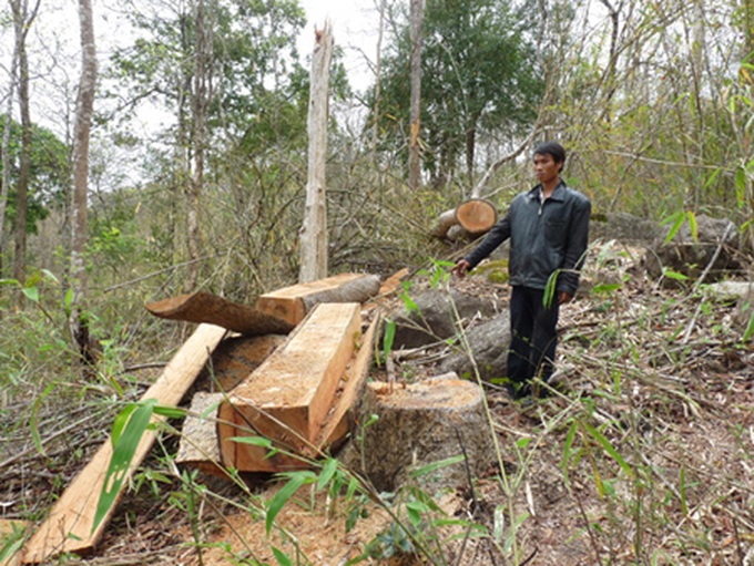 Forests of the Mekong in sharp decline - 1 Forests of the Mekong in sharp decline - 1