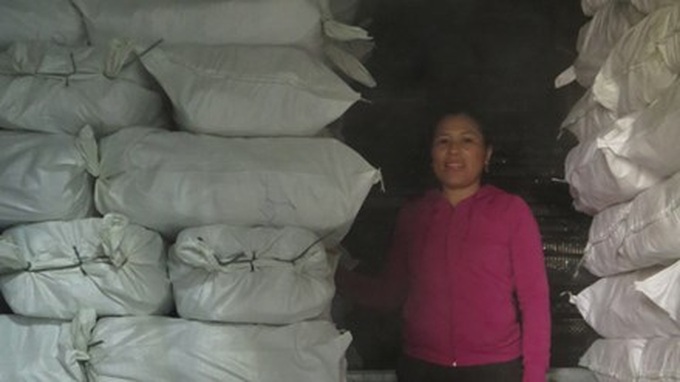 Firms seek solutions to massive fish stocks - 1