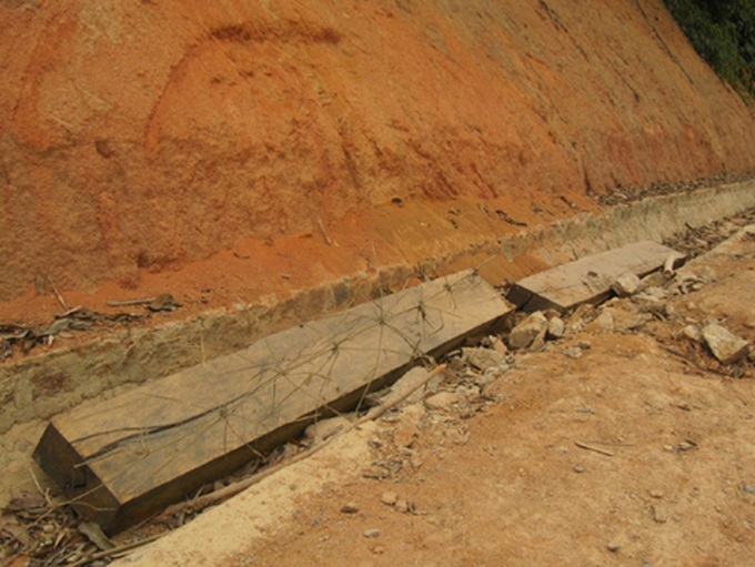 Illicit logging plagues Nghe An - 4 Illicit logging plagues Nghe An - 4