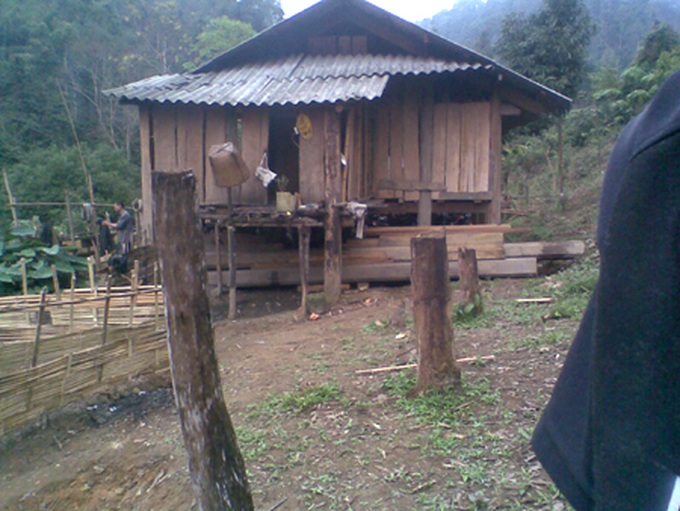 Illicit logging plagues Nghe An - 8 Illicit logging plagues Nghe An - 8