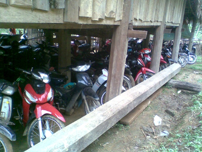 Illicit logging plagues Nghe An - 9 Illicit logging plagues Nghe An - 9