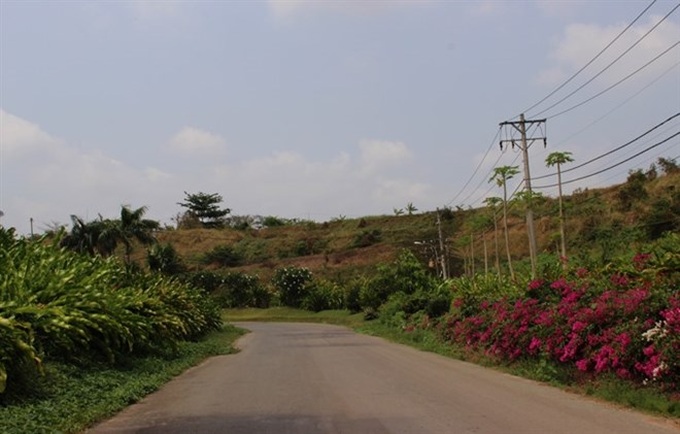HCM City landfill grows into orchard - 1 HCM City landfill grows into orchard - 1